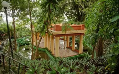 Área verde do Parque Ruber van der Linden, o Pau Pombo
